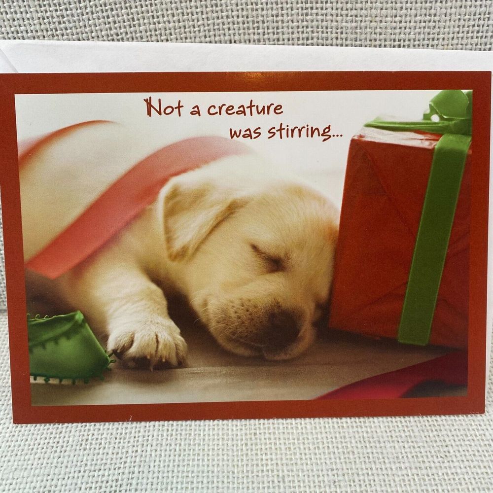 Sleeping Puppy with Christmas Gifts Holiday Season Blessing Greeting Card